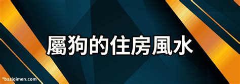 屬狗適合方位|属狗最佳住房楼层和风水方位